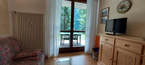 Comfortable 3 room flat with garden, 200 m from slopes Passo Del Tonale